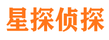 叠彩市调查公司